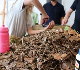 486cb852 38bc 4a19 aa1c ee1a9bdcb35c