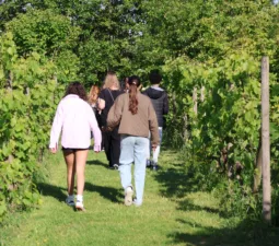 716a8183 e4f1 4abe 9a6b edb5a098e0f6