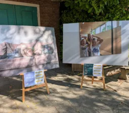 265c8976 5b55 4881 83a2 fcf7ef752f0c