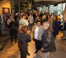 Accent 25 serie 01 046