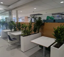 PXL 20251204 132337267