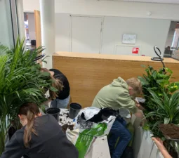 Studieplein ontwerp vullen