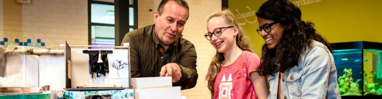 1 0000 KLAPSTUK Tigges Calvijn Meerpaal 211 of 211